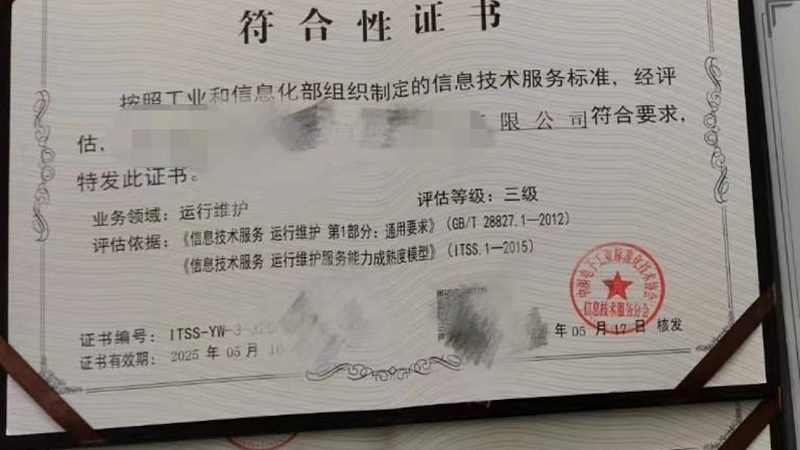 企业IT外包服务的双刃剑：优缺点解析