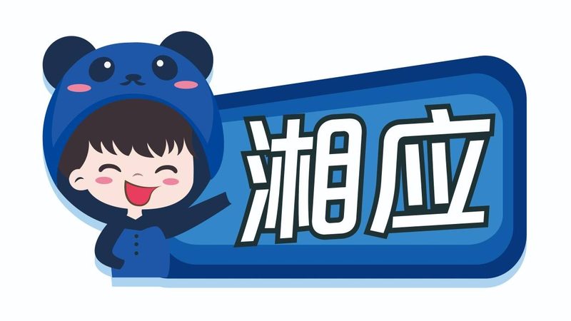 揭秘IT外包服务：十大品牌背后的真相与选择要点